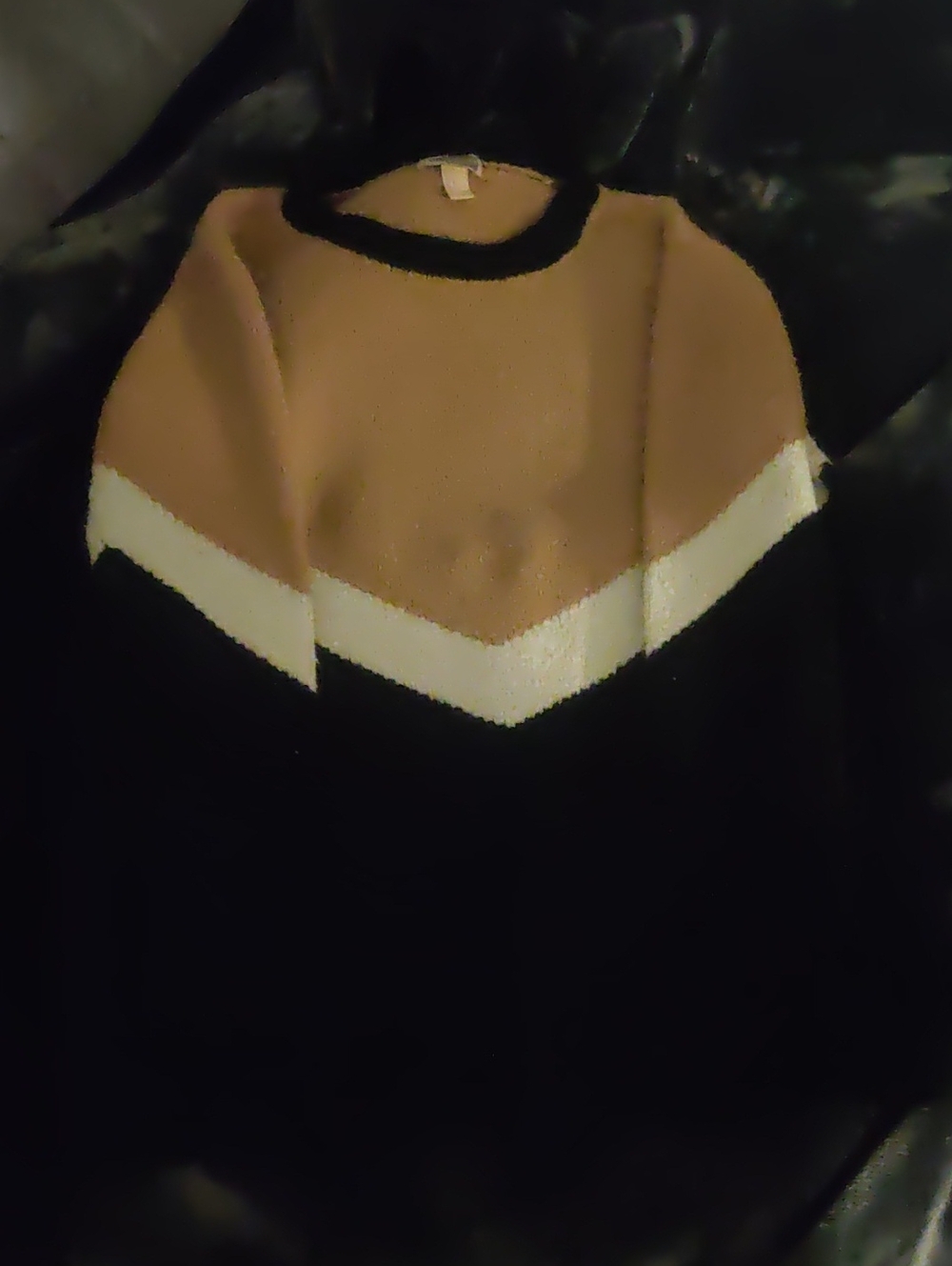 Forever 21 Black, Tan & White Chevron Crewneck Sweater
